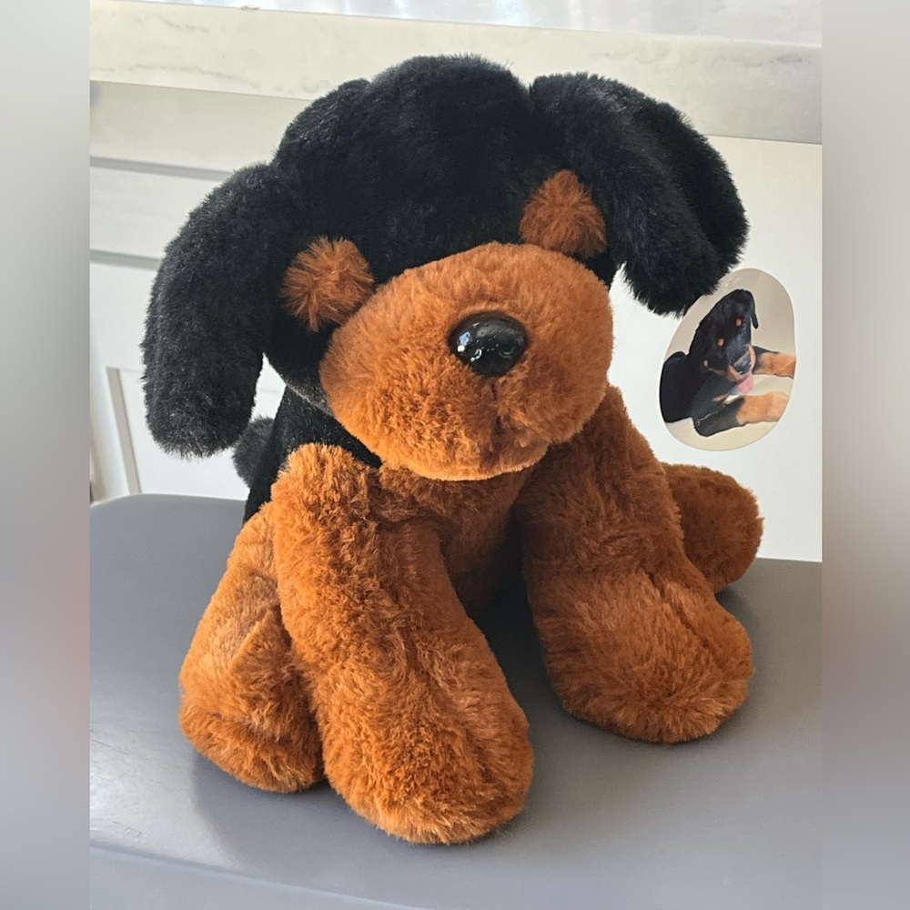 New cute dog look alike Rottweiler
